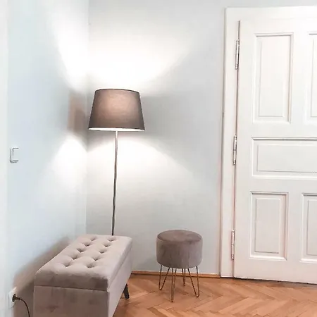 公寓 Luxury Only For Business Travel 萨尔茨堡